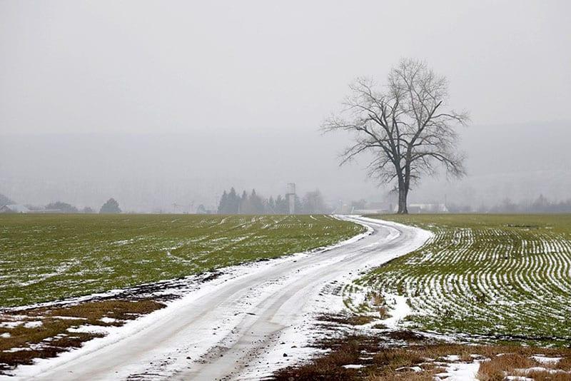 hiver avec peu de neige