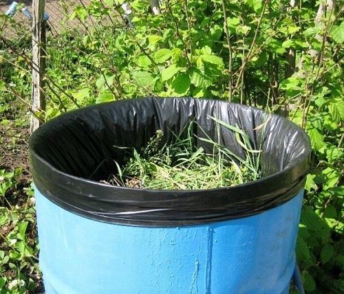 herbe dans un tonneau