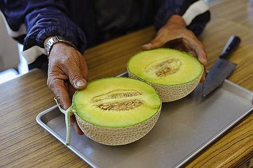 Les diabétiques peuvent consommer des fruits de melon non mûrs