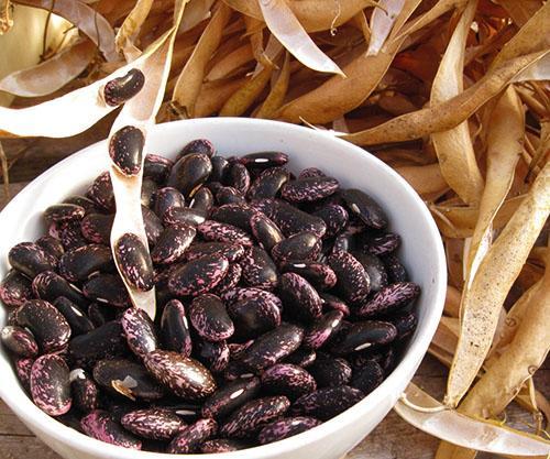 Les coquilles de haricots et les haricots amélioreront la qualité de vie d'un diabétique