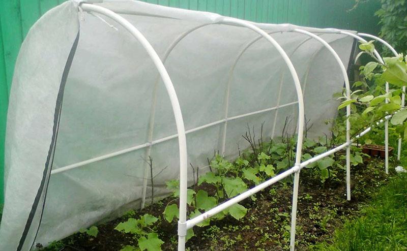 comment faire des arcs pour une serre à partir de tuyaux en plastique