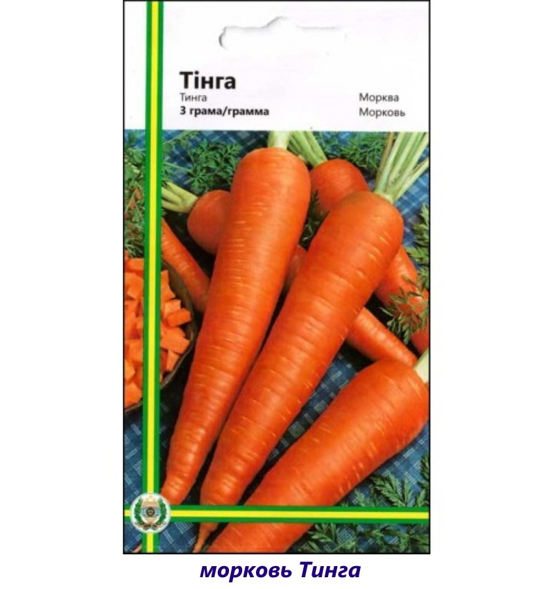 Variété de carotte tinga