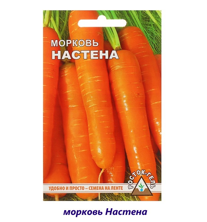 variedad de zanahoria nasten