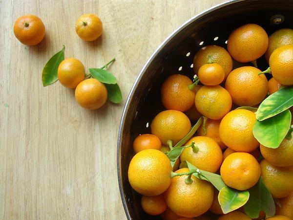 Fruta Calamondin