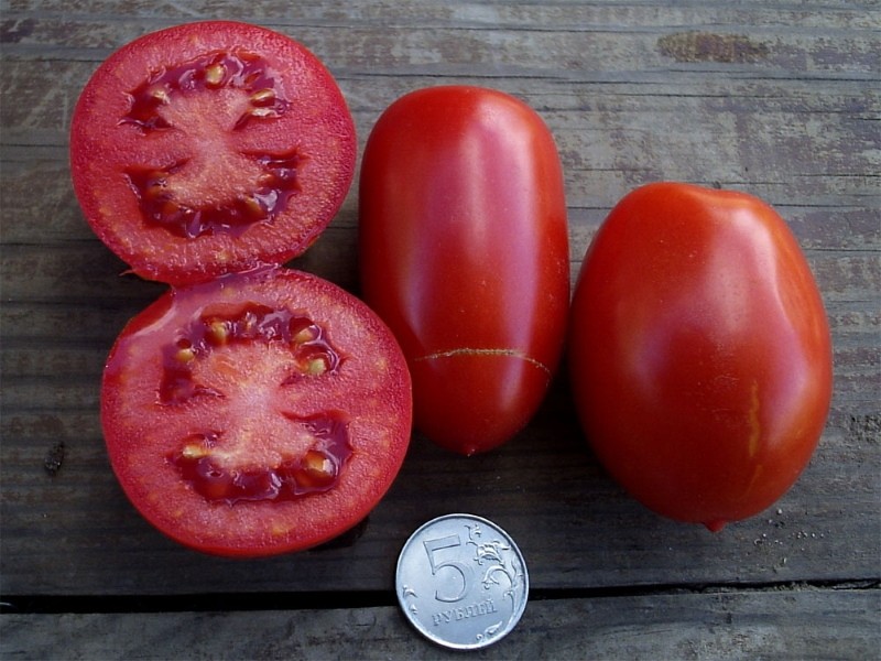 fruits de tomates rio fuego