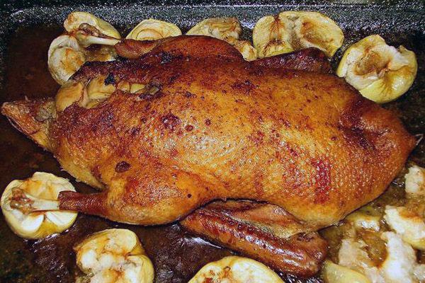 pato jugoso con manzanas en el horno