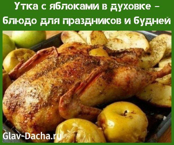 pato con manzanas en el horno