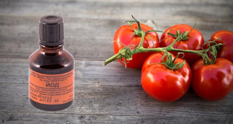 ¿Por qué los tomates necesitan yodo?