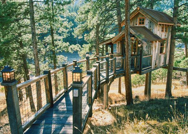 chemin vers la cabane dans les arbres