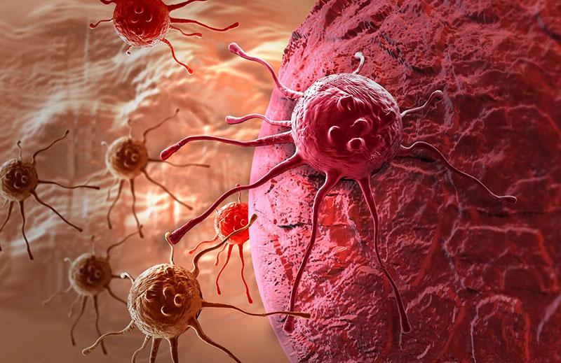 luchar contra las células cancerosas