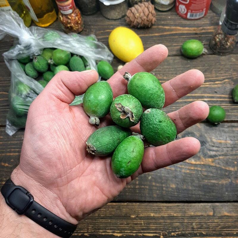 fruta feijoa con pulpa jugosa