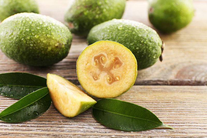 feijoa en coupe