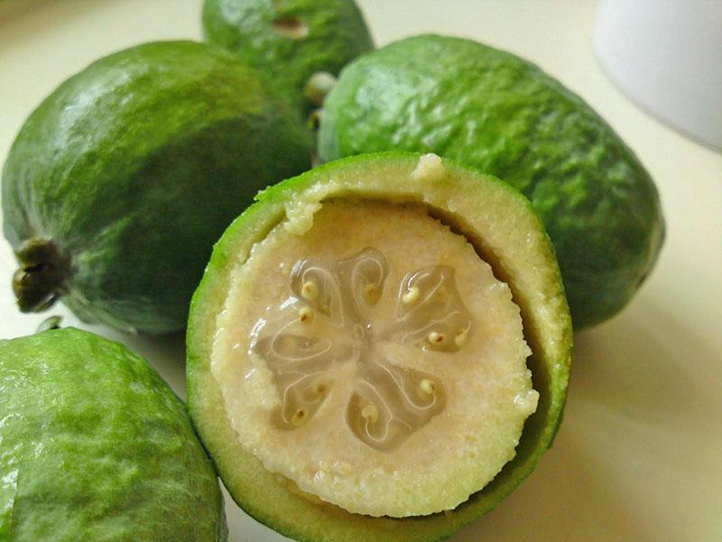 fruta feijoa rica en fibra