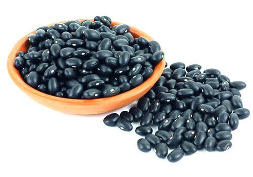 Los frijoles negros tienen beneficios para la salud