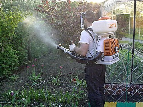 Lucha contra las enfermedades y plagas de las plantas.