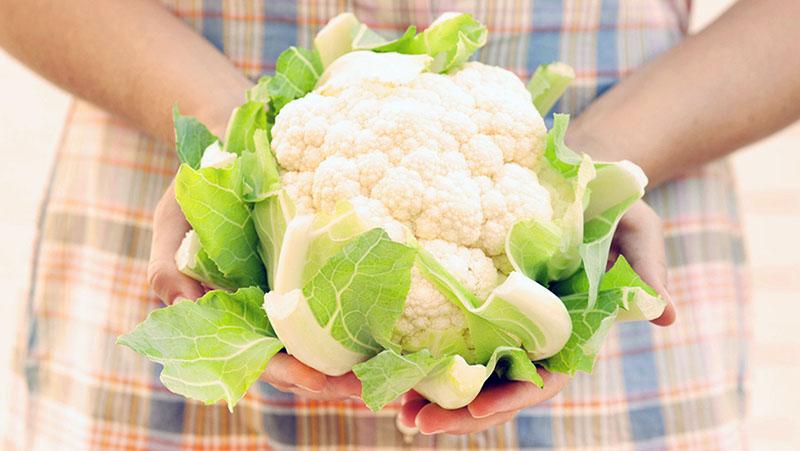 coliflor en la dieta