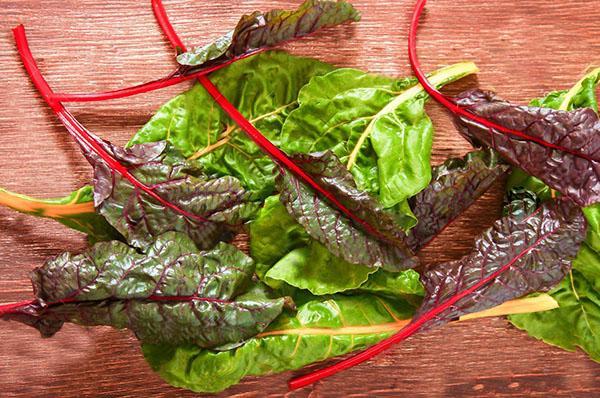 propriétés uniques des feuilles de bette à carde