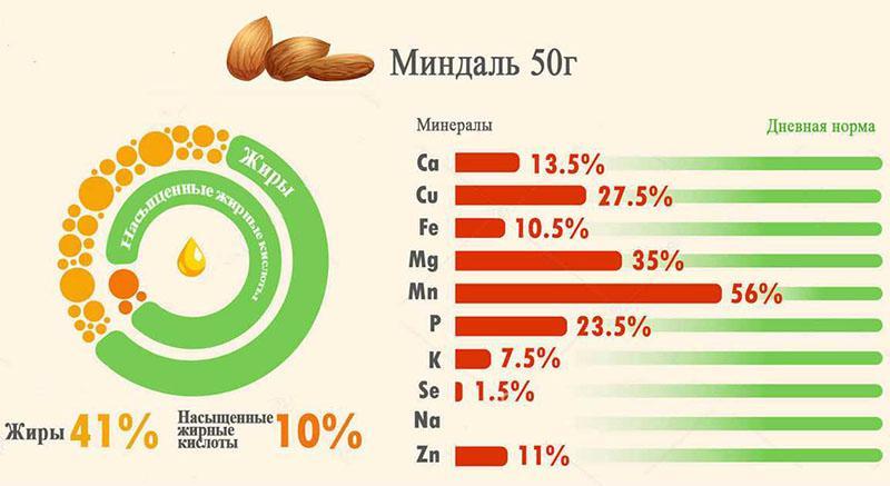 composición química de las almendras