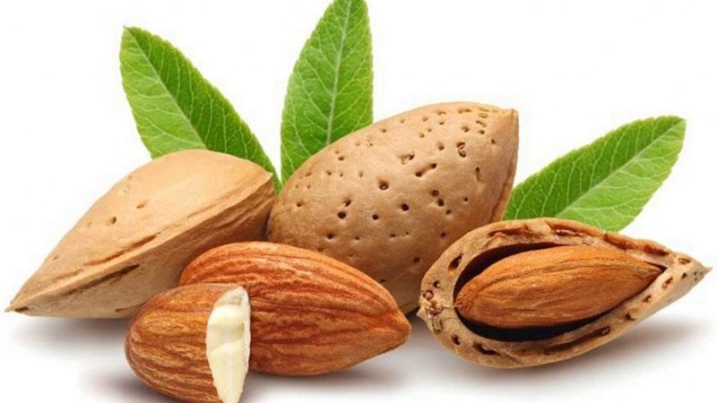 bienfaits des amandes sur la santé