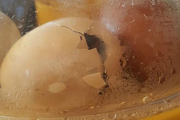 température d'incubation
