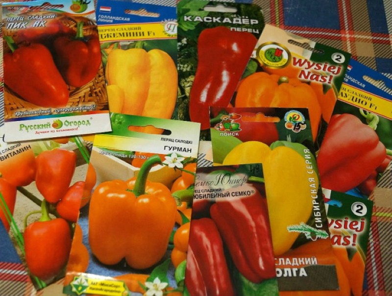 cómo elegir una variedad de pimiento