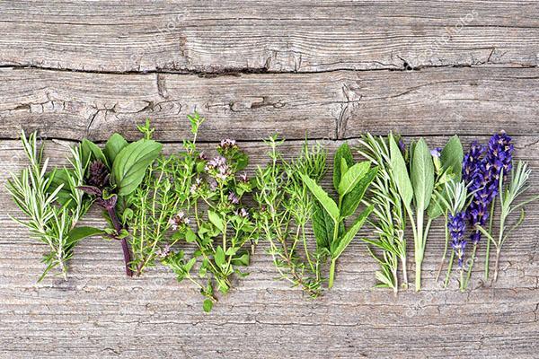 herbes aux propriétés bénéfiques