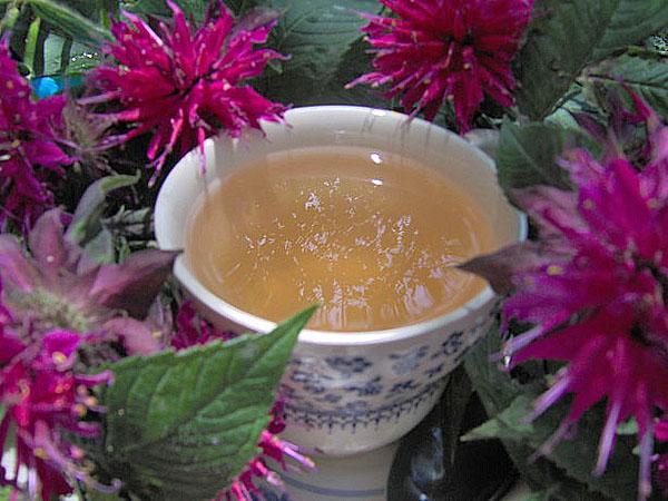 thé de monarda
