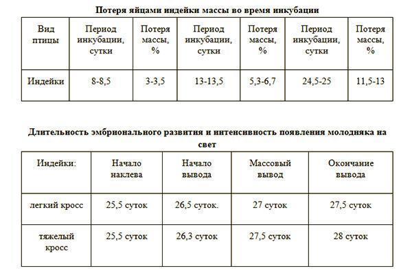 Tabla de inicio y finalización de la eclosión de pavos