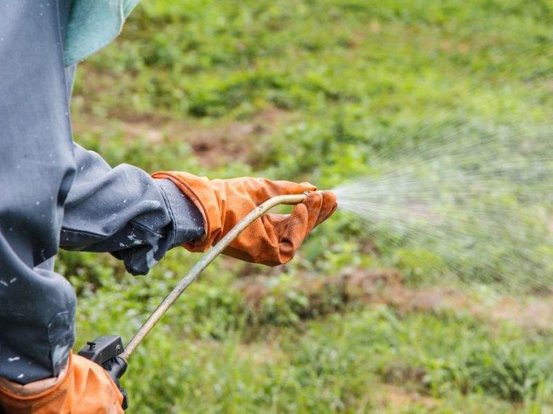 utilisation d'herbicides