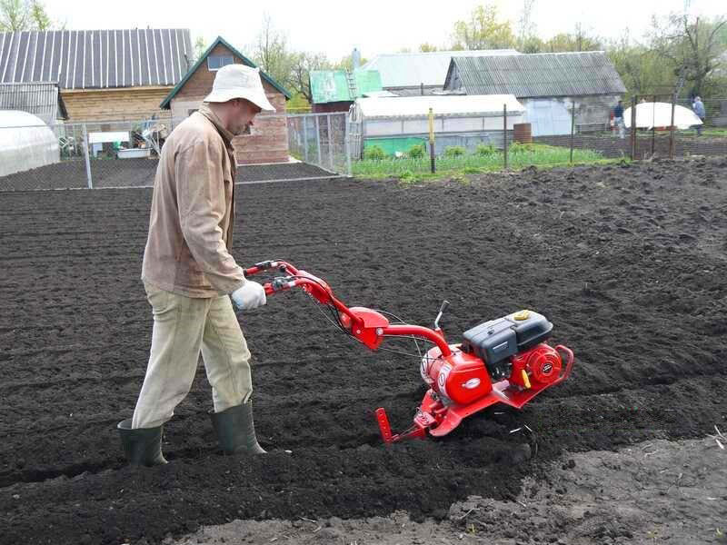 arando una parcela para plantar patatas
