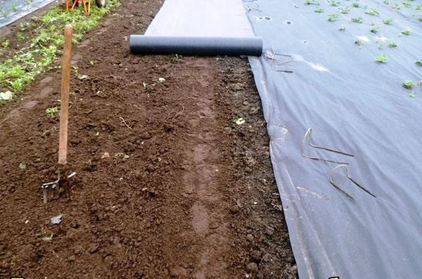 agrofibra en las camas