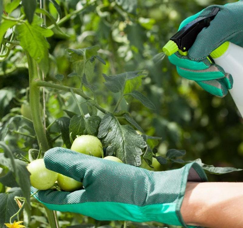 fármaco, seguro para plantas y seres humanos