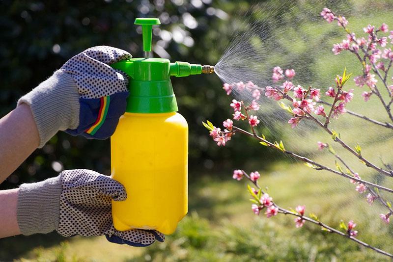 tratamiento de plantas