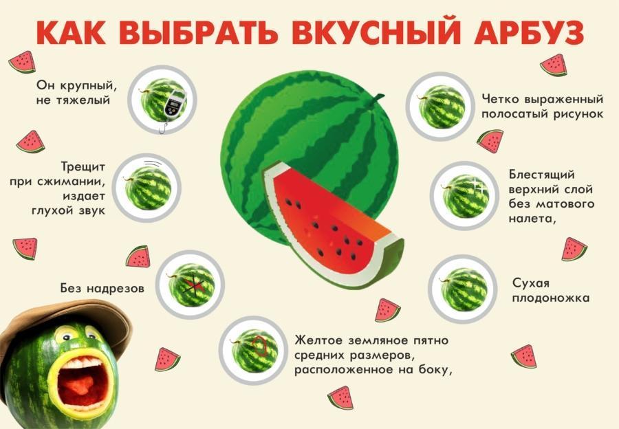 como elegir una deliciosa sandia