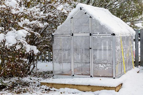 préparation de la serre pour la nouvelle saison