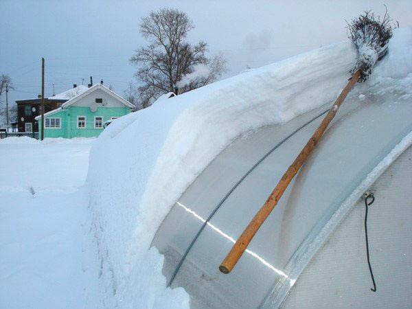 quitar la nieve del invernadero