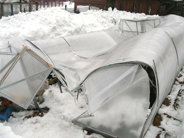 bloqueo del invernadero por la severidad de la nieve