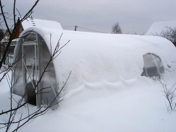 trabajo de invernadero en enero