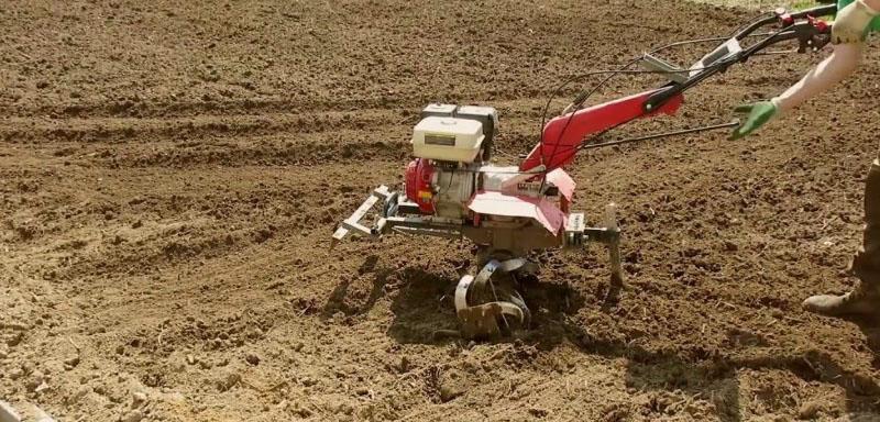 nivelar la parcela para un jardín y un huerto