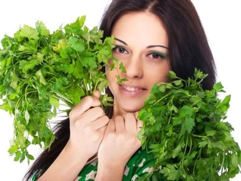 propriétés utiles du persil pour le corps féminin