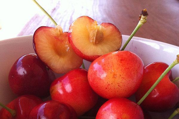 micro et macro éléments dans les cerises