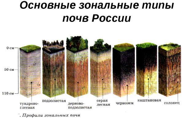 types de sols zonaux