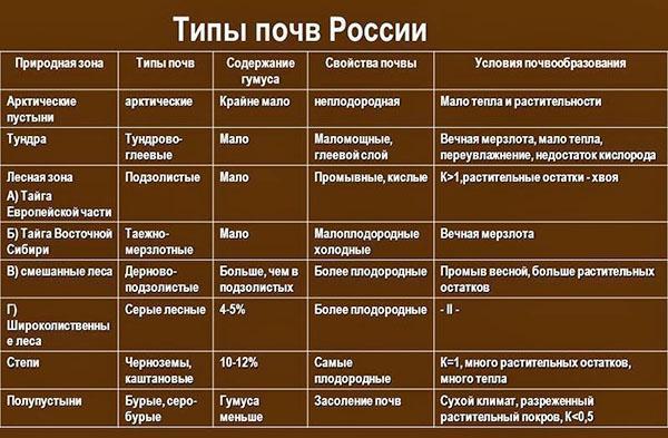 tipos de suelo en Rusia