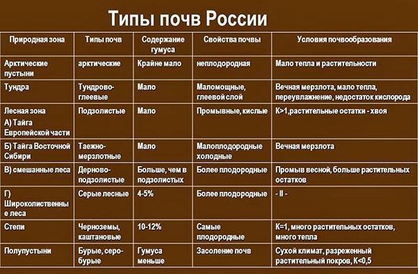 types de sols en Russie