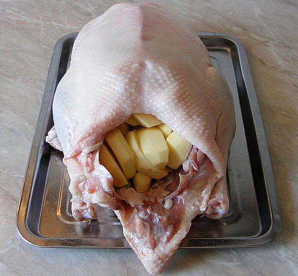 rellenar un cadáver