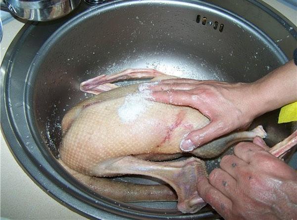 lavar bien la carcasa del ganso