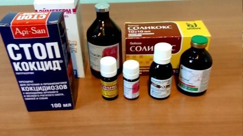 medicamentos veterinarios para la coccidiosis
