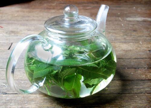 té de verbena