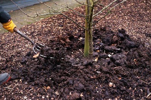 Creuser le sol après s'être nourri d'humus et de tourbe