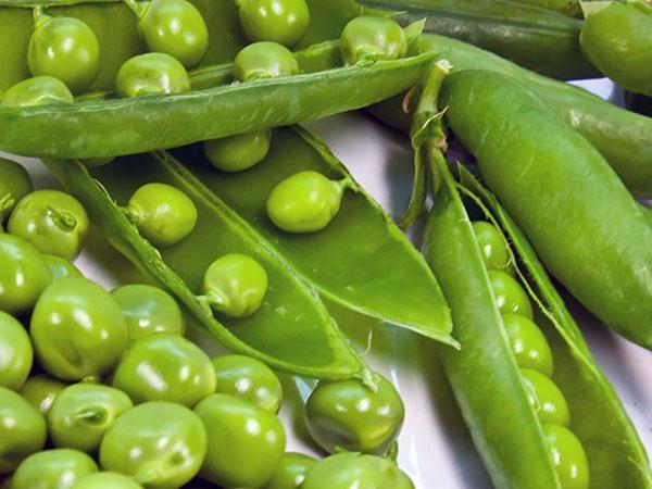 cosecha guisantes de tu jardín